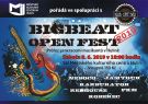 BIGBEAT OPEN FEST 2019